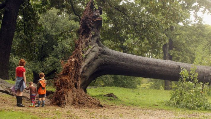 Informativo 24h - Estados Unidos se recupera del paso del huracán 'Irene'