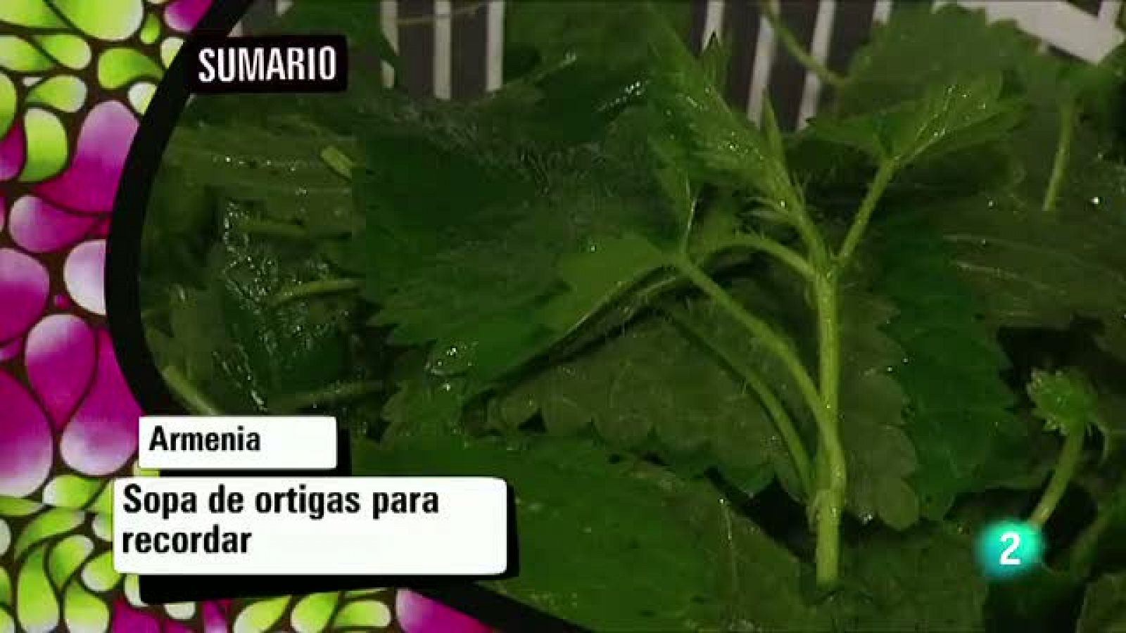 Babel en TVE - Sabores del mundo 7 - 26/08/11