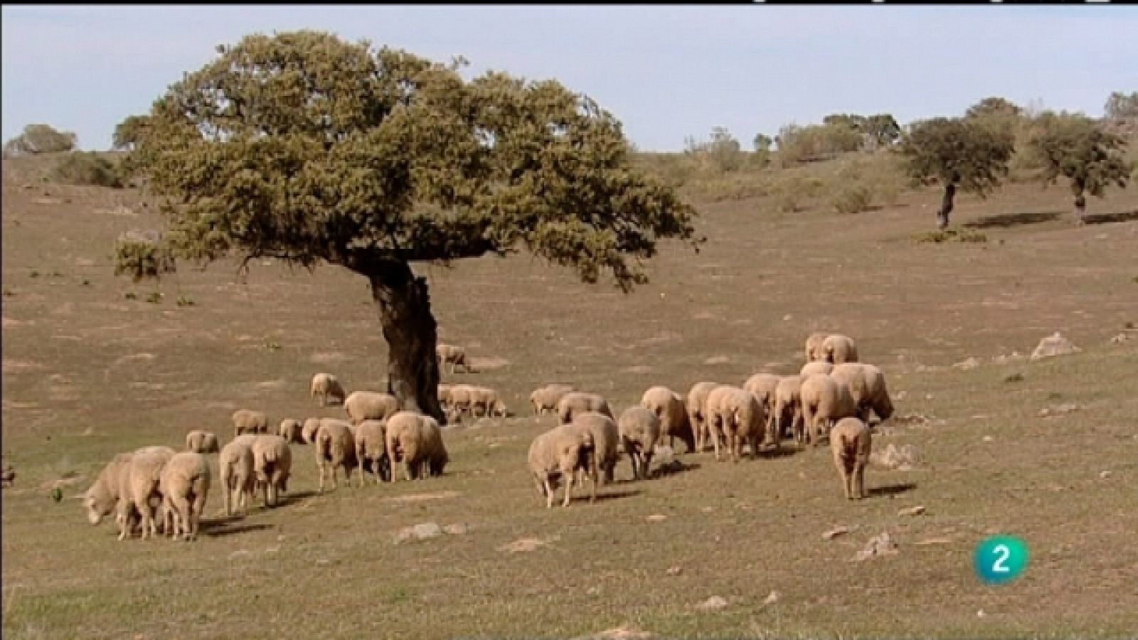 Biodiario - 01/09/11 - Ver ahora