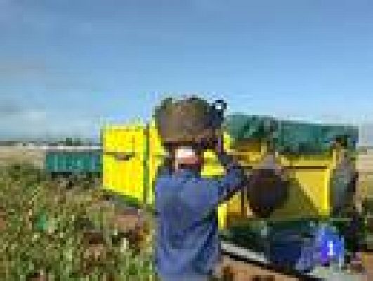 Telediario 1 - 51.185 parados más