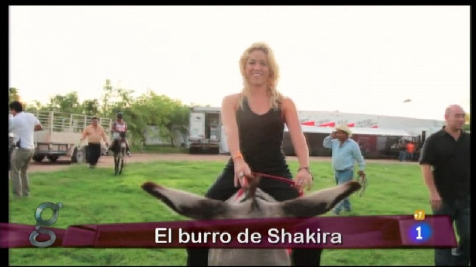 Gente - 02/09/11 - Ver ahora 