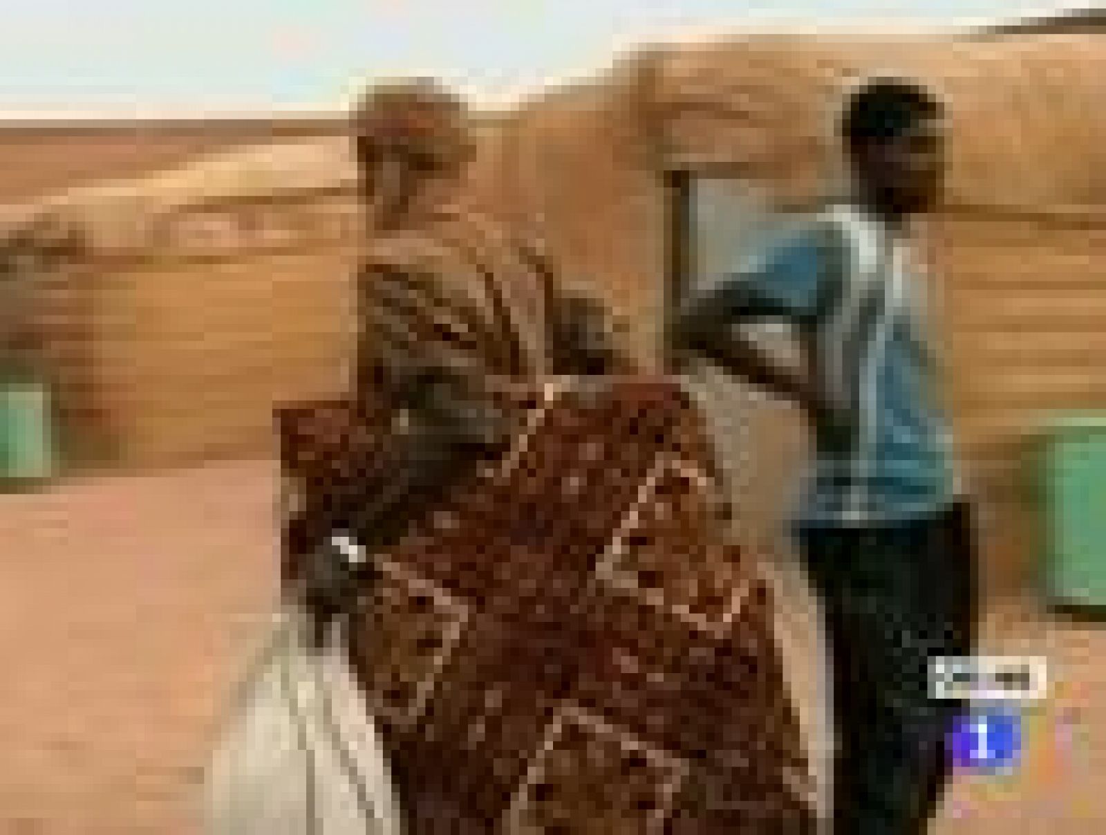 Sin programa: Un convoy de leales al régimen llega a Níger rumbo a Burkina Faso | RTVE Play