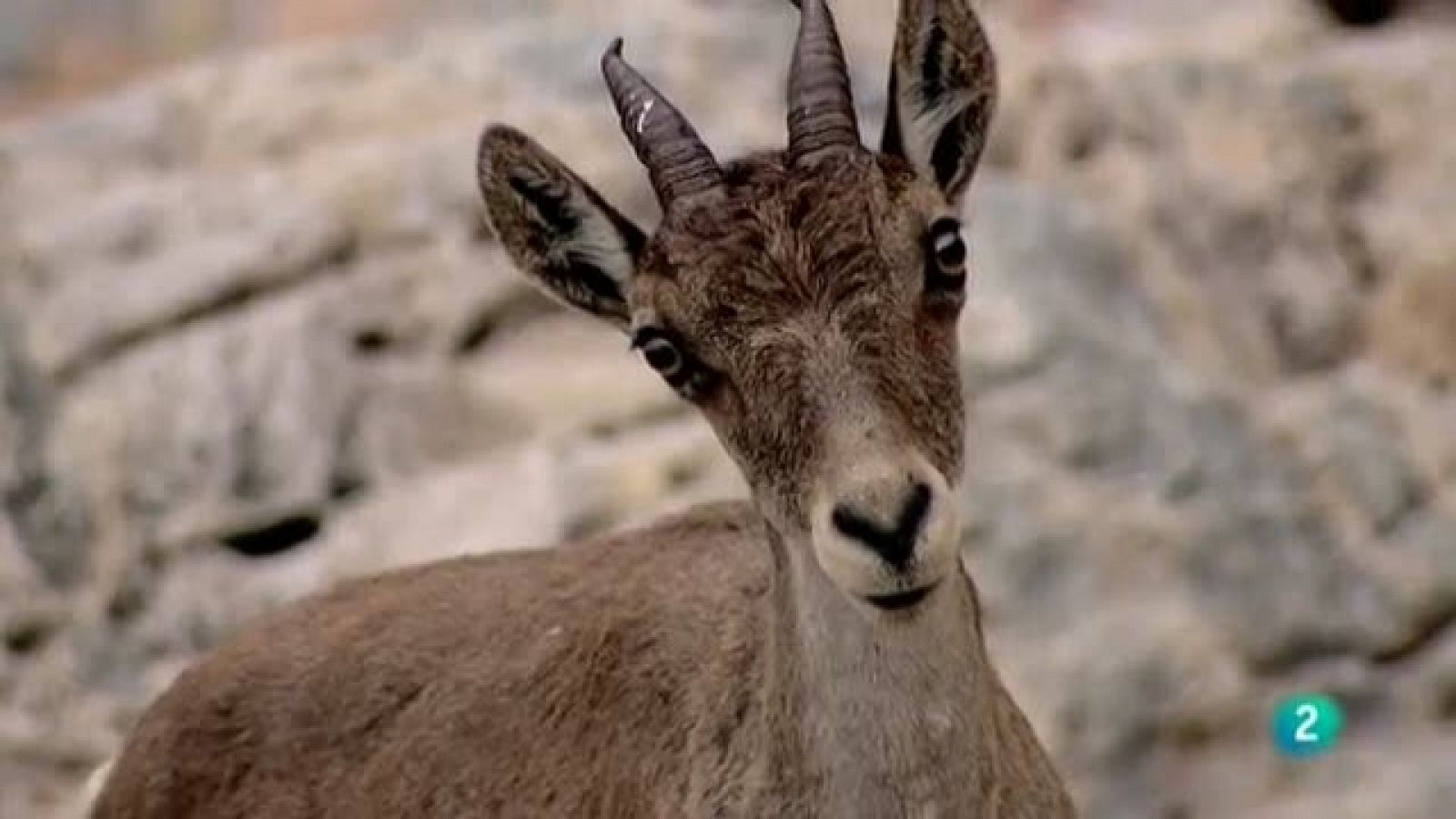 Biodiario - 06/09/11 - Ver ahora