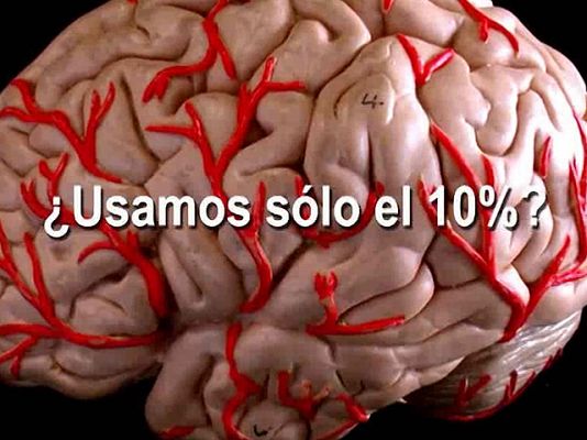 ¿Usamos sólo el 10% del cerebro?.