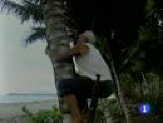 Telediario 1 - Agricultores cubanos con problemas