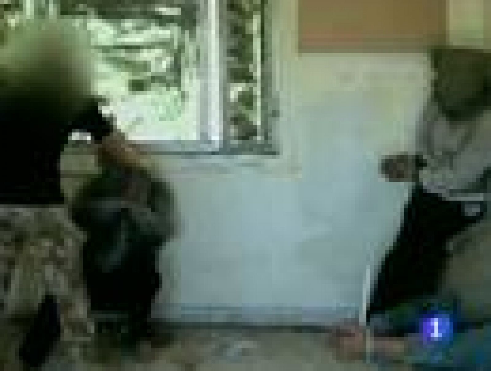 Cuatro militares británicos culpables de la muerte de un prisionero iraquí