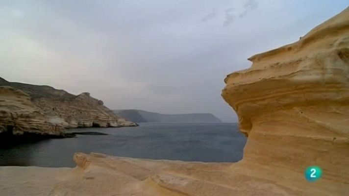 Biodiario - Biodiario - 10/09/11