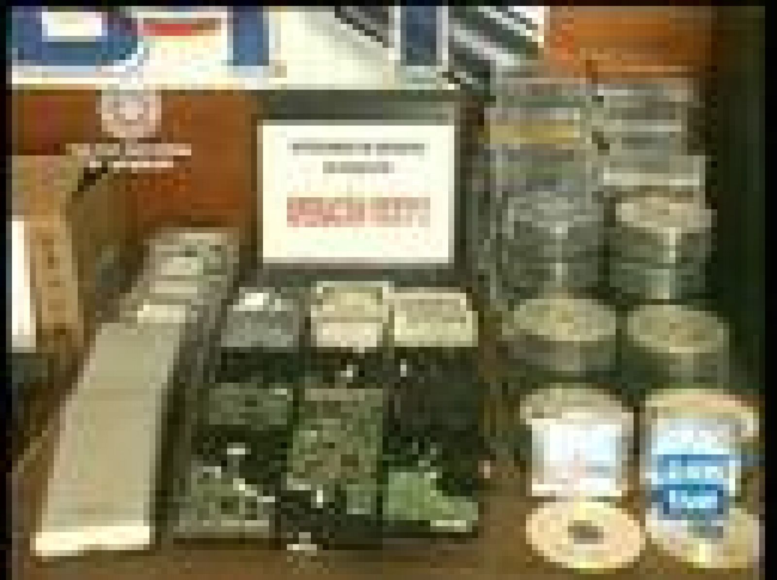 55 detenidos en una operación contra la pornografía infantil en internet | Ver