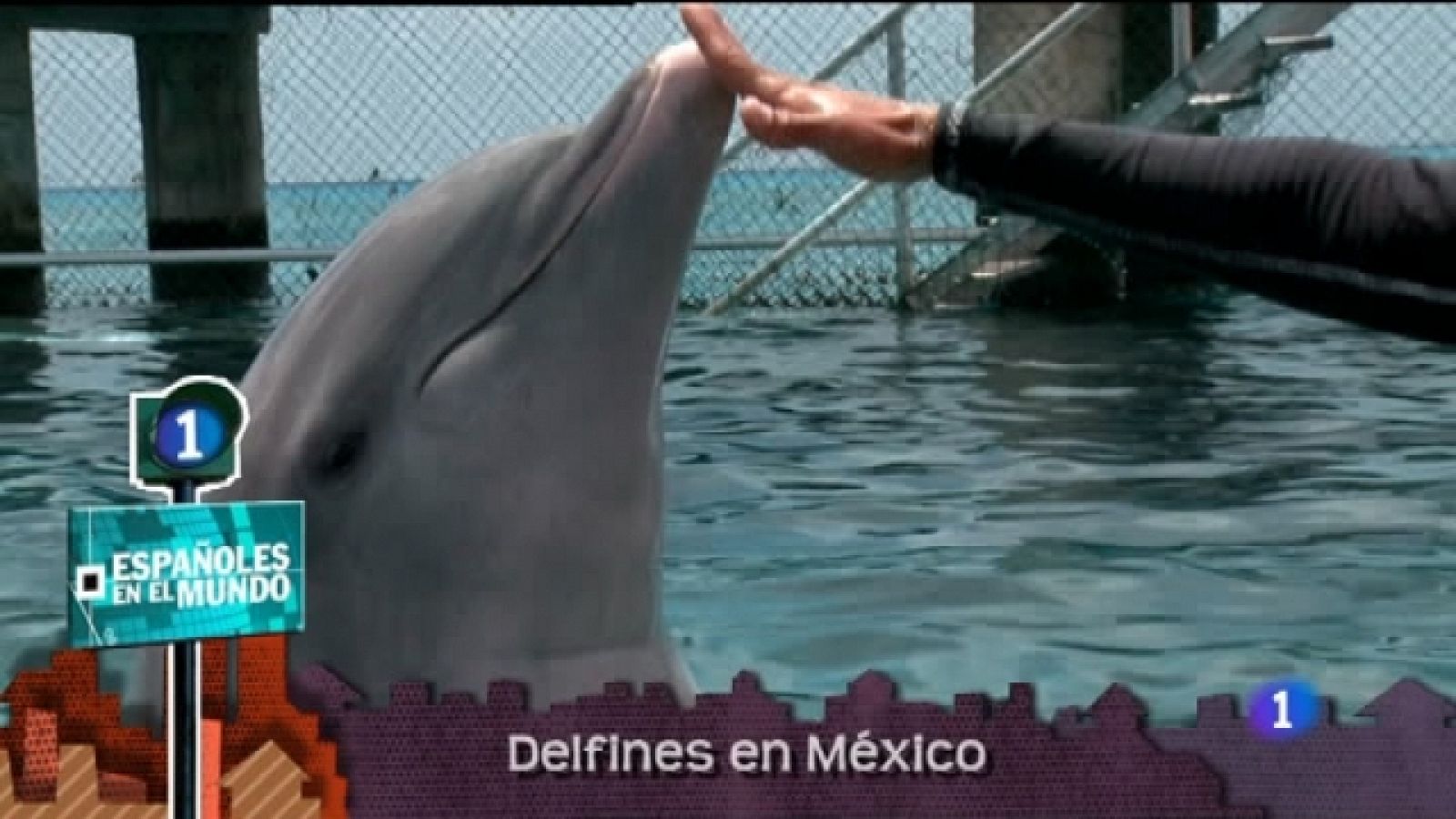 Lo que hay que ver - 11/09/11 - Ver ahora