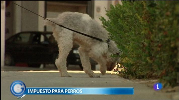 +Gente - Más Gente - 13/09/11