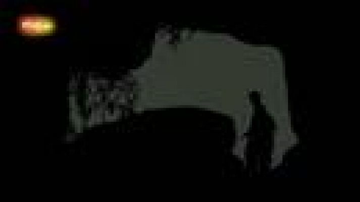 Festival de cine de San Sebastián - Tráiler de 'Los pasos dobles'