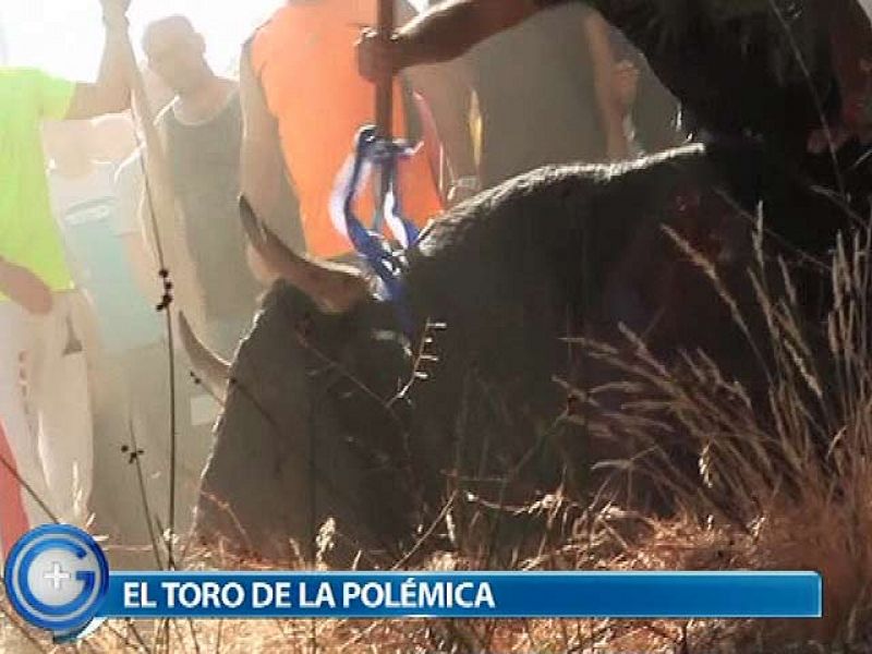 Más Gente - Un  infiltrado se cuela en el Toro de la Vega