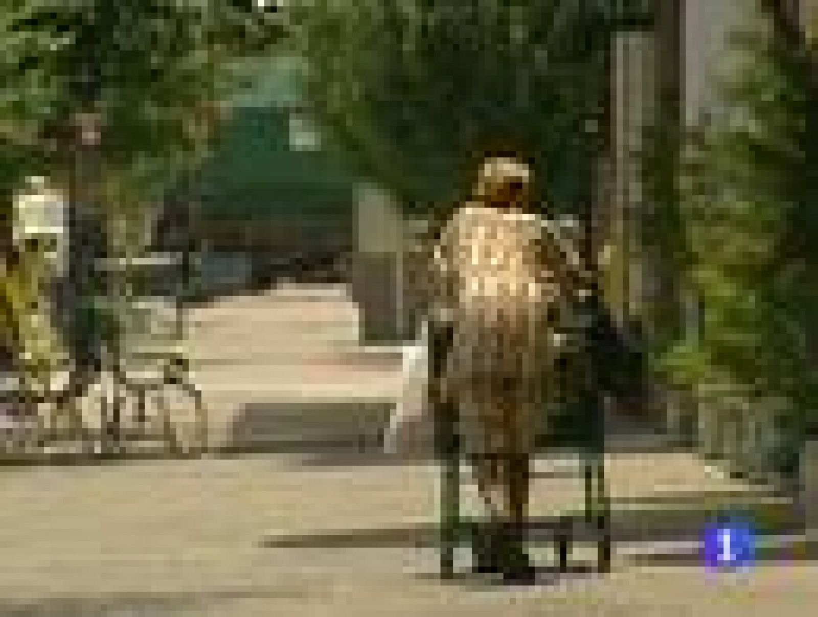 Un 15 % de la población estadounidense vive por debajo del umbral de la pobreza