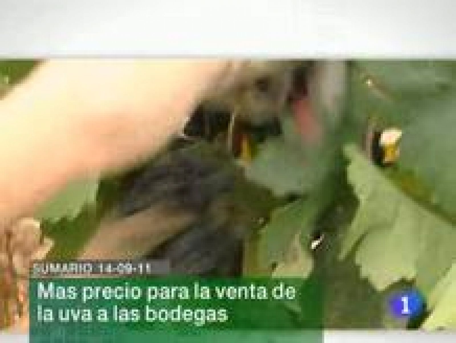 La Rioja en 2' - 14/09/11 | Ver