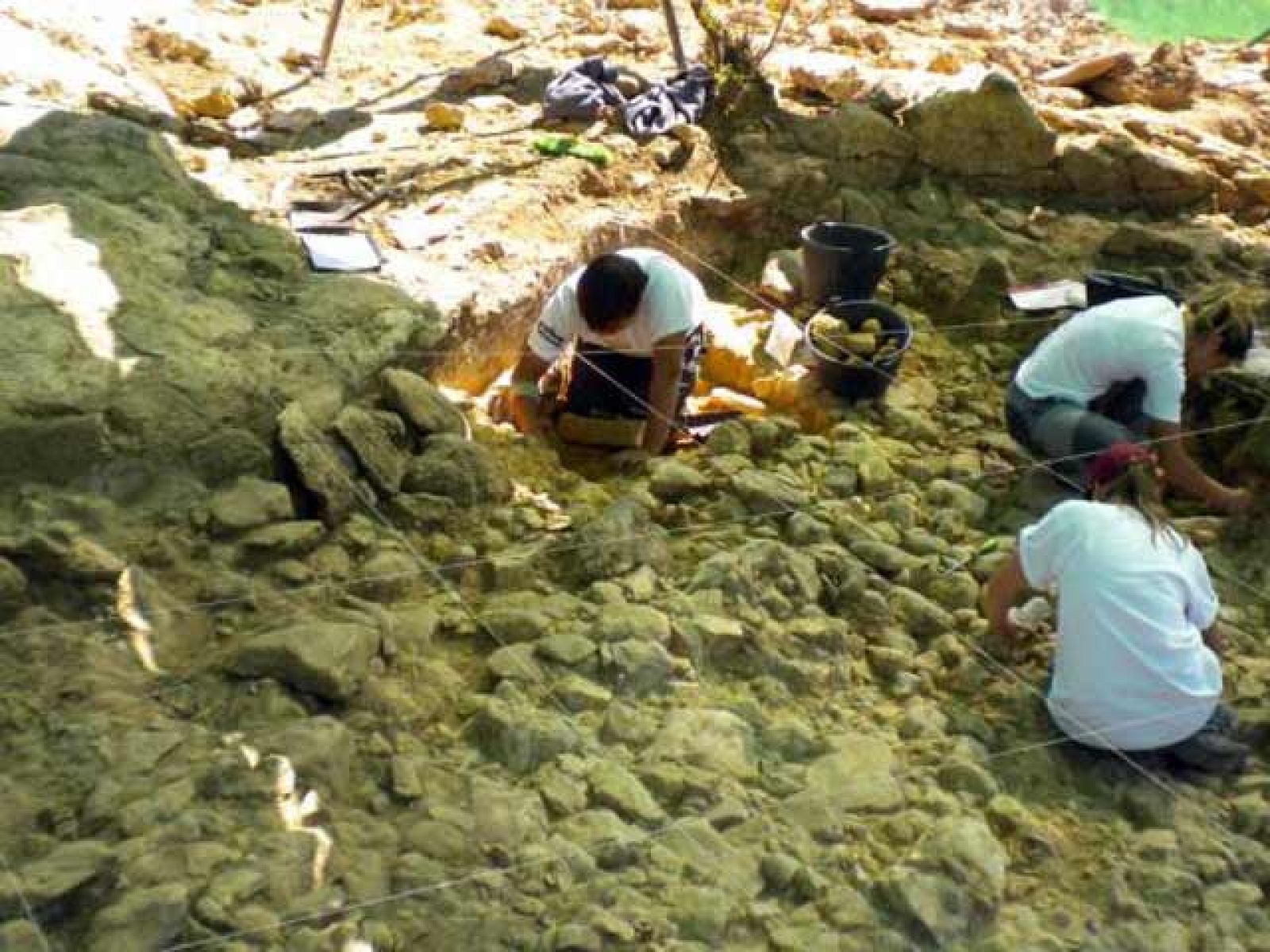 Más Gente - Encuentran los restos de una niña neandertal en Madrid