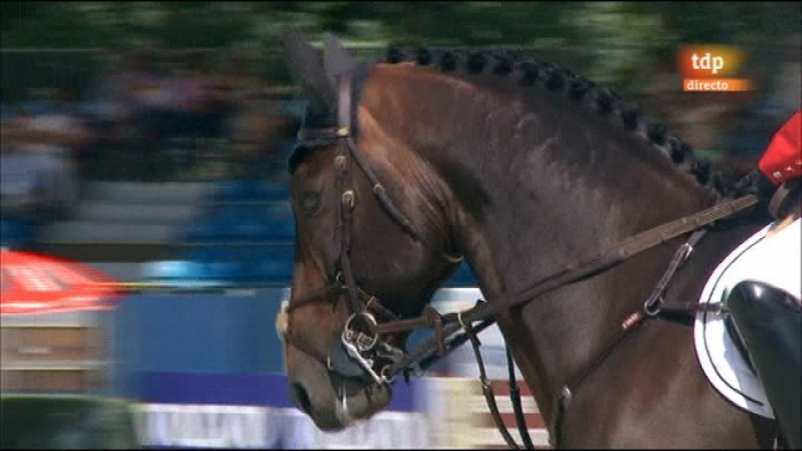 Hípica. Campeonato Europa Saltos obstáculos 2011 - Individual y equipos 1ª ronda grupo 2 - 14/09/11