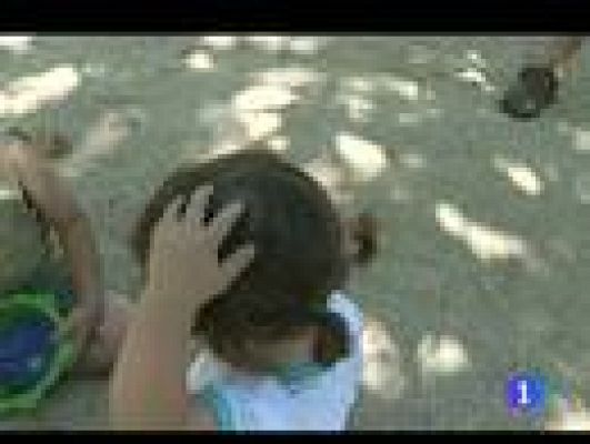 Telediario 1 - Aumentan los brotes de piojos