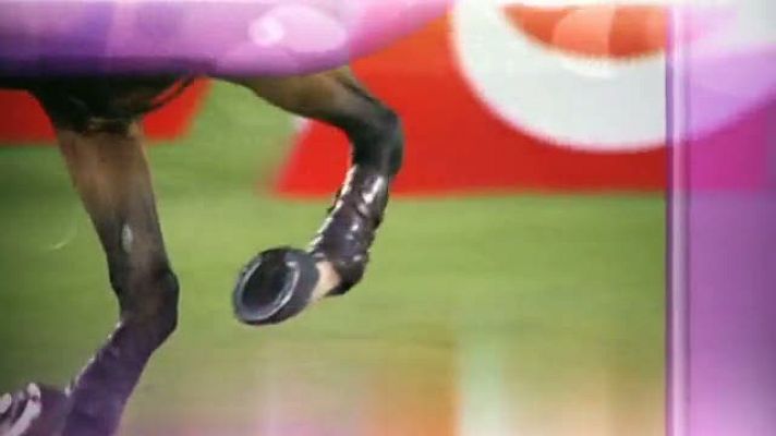 Hípica - Hípica. Campeonato Europa saltos 4
