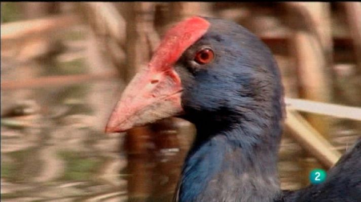 Biodiario - Biodiario - 15/09/11