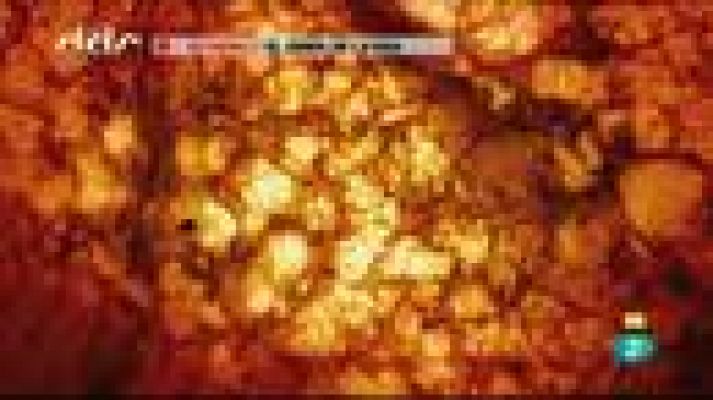 Días de cine - Días de Cine: 'El árbol de la vida'