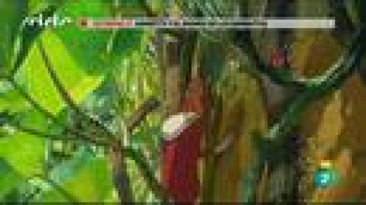 Días de cine - 'Arriety y el mundo de diminutos'