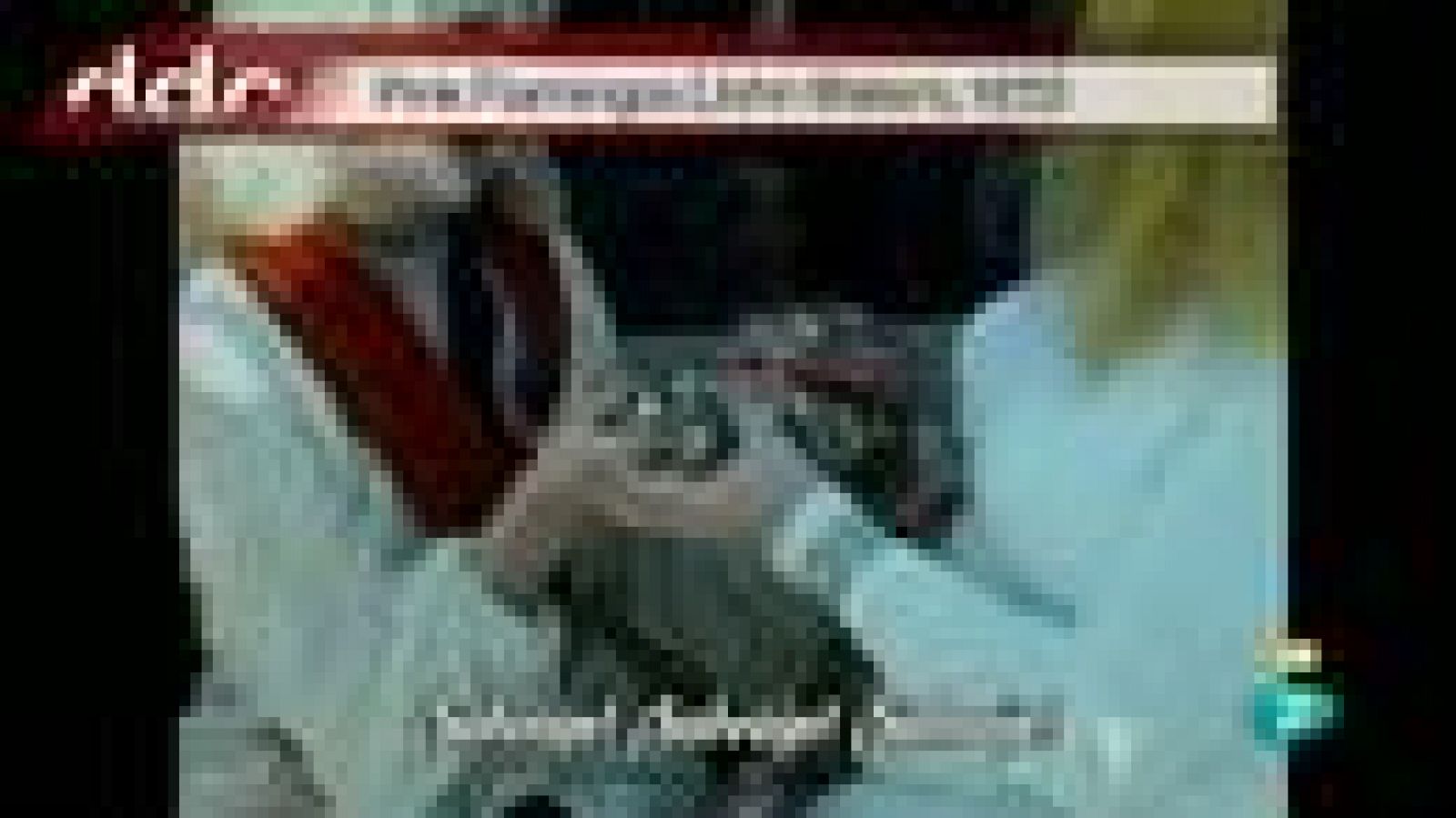 Días de cine: Entrevista con John Waters | Ver