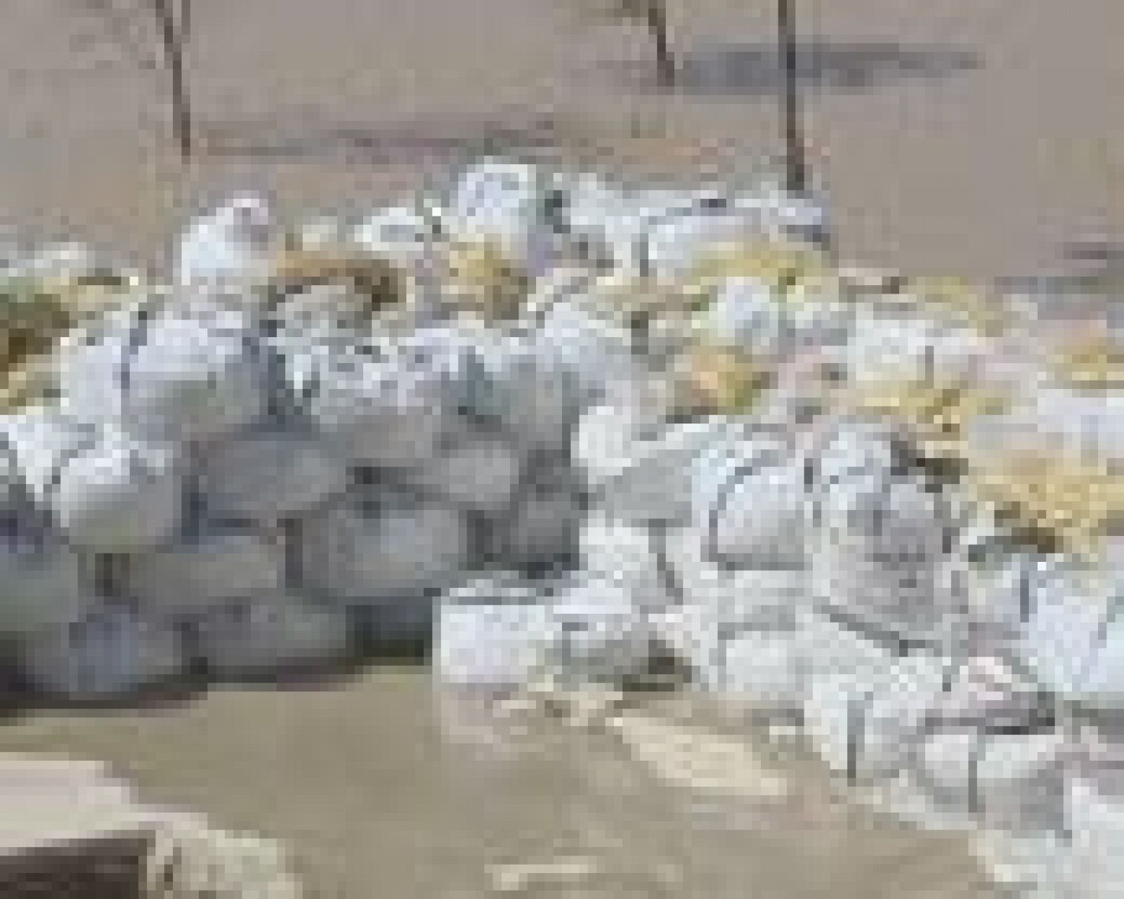 Concluyen las obras de proteccción de la Expo | Ver