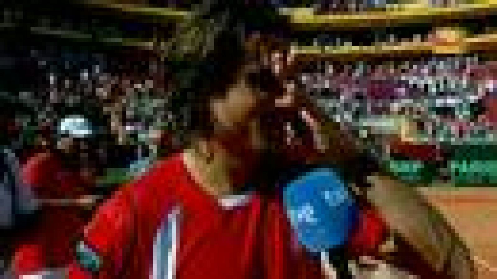 El tenista español David Ferrer ha asegurado después de conseguir el segundo punto para el equipo español tras ganar a Gilles Simon que "ha sido un partido duro a pesar de lo fácil del resultado".