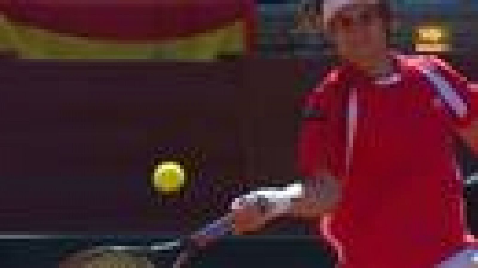 David Ferrer ha conseguido el segundo punto para el equipo español de Copa Davis (2-0) tras ganar al francés Gilles Simon por 6-1, 6-4 y 6-1.