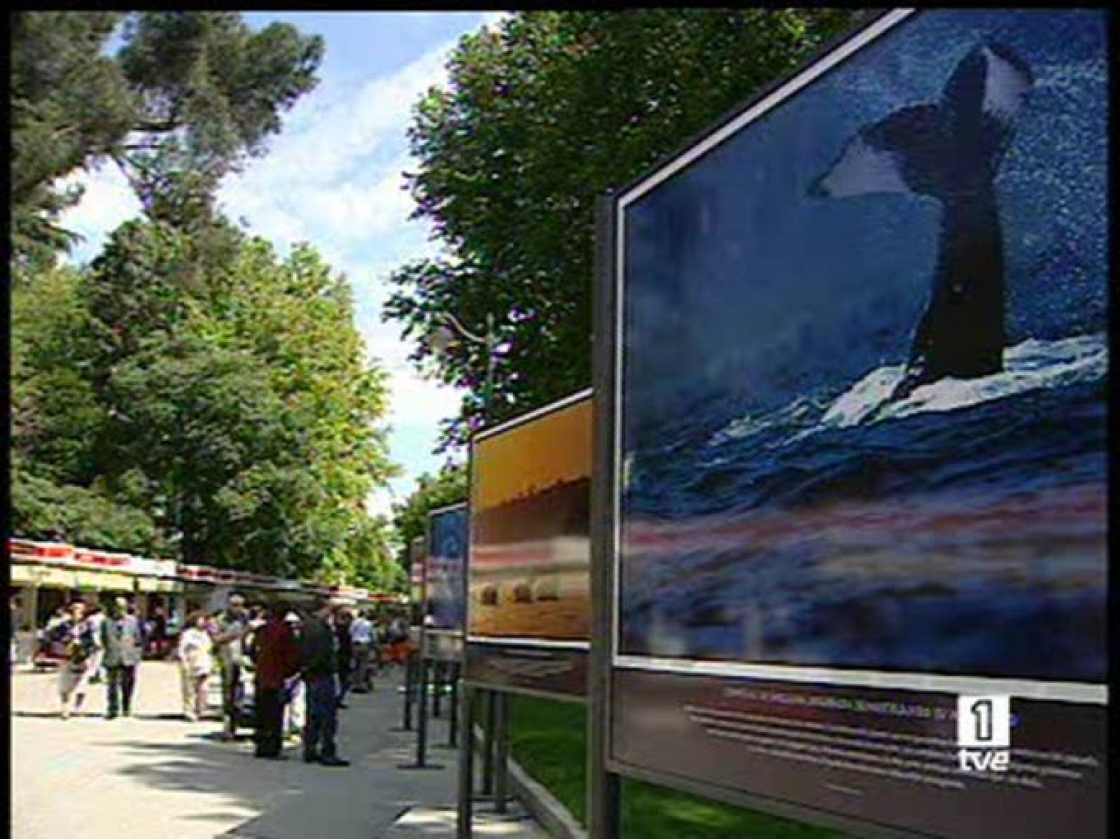 La feria del libro dedica su mirada también al mundo de la fotografía . Y lo hace con una exposición al aire libre dedicada al Agua.