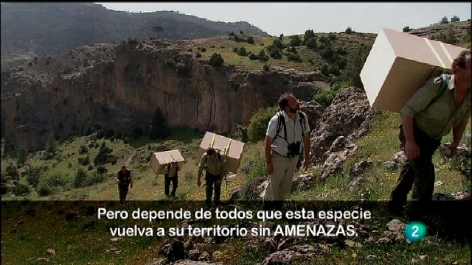 Biodiario - 16/09/11