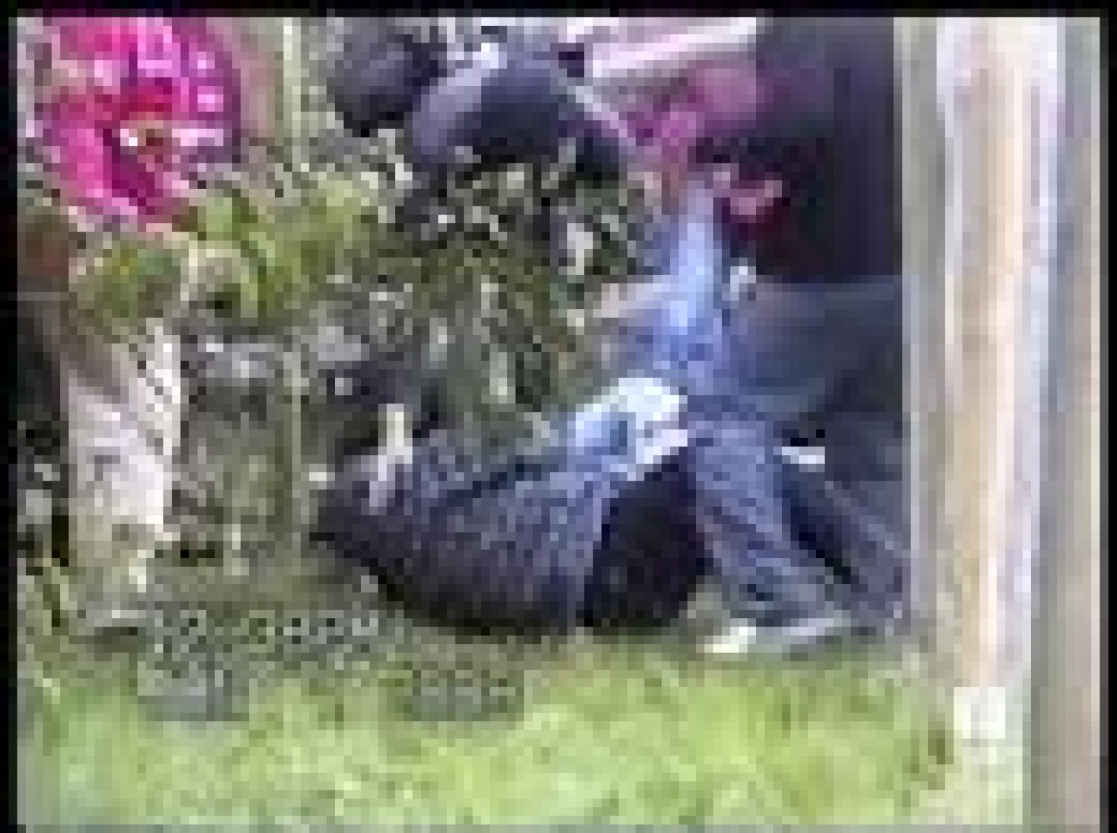 Dramático accidente en el rally de Chile