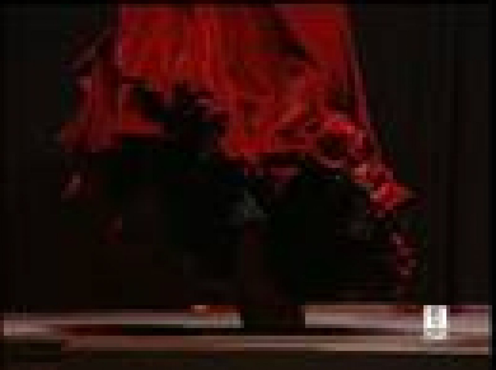 La ganadora del Premio Nacional de Danza de 2007 presenta en Madrid su espectáculo 'Romalí-dos culturas'.