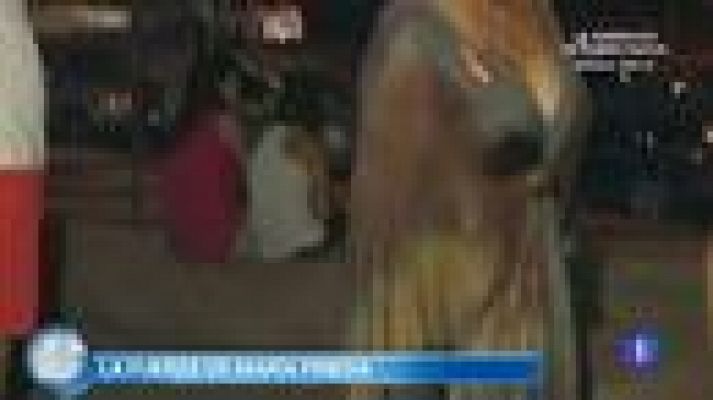 +Gente - María Pineda reaparece