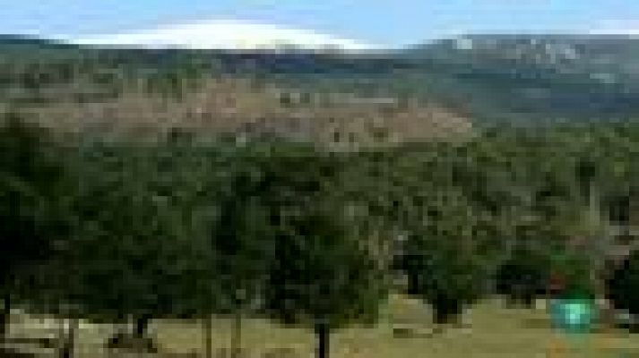 La aventura del Saber - Reportaje: Bosque de Urbión