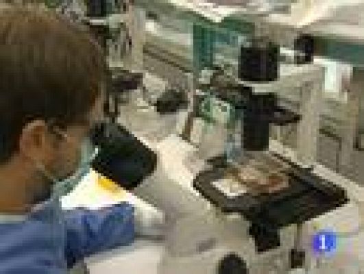 Telediario 1 - Investigaciones del Sida