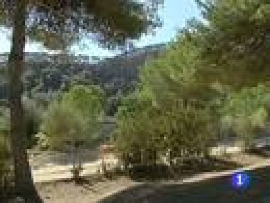 Telediario 1 - Fuego controlado en Ibiza