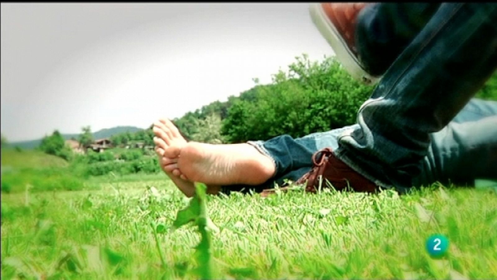 La felicidad en 4 minutos - Compartir momentos - Ver ahora