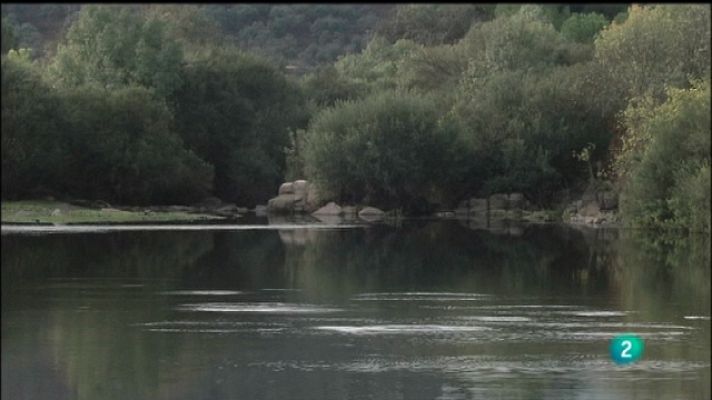 Biodiario - Biodiario - 20/09/11