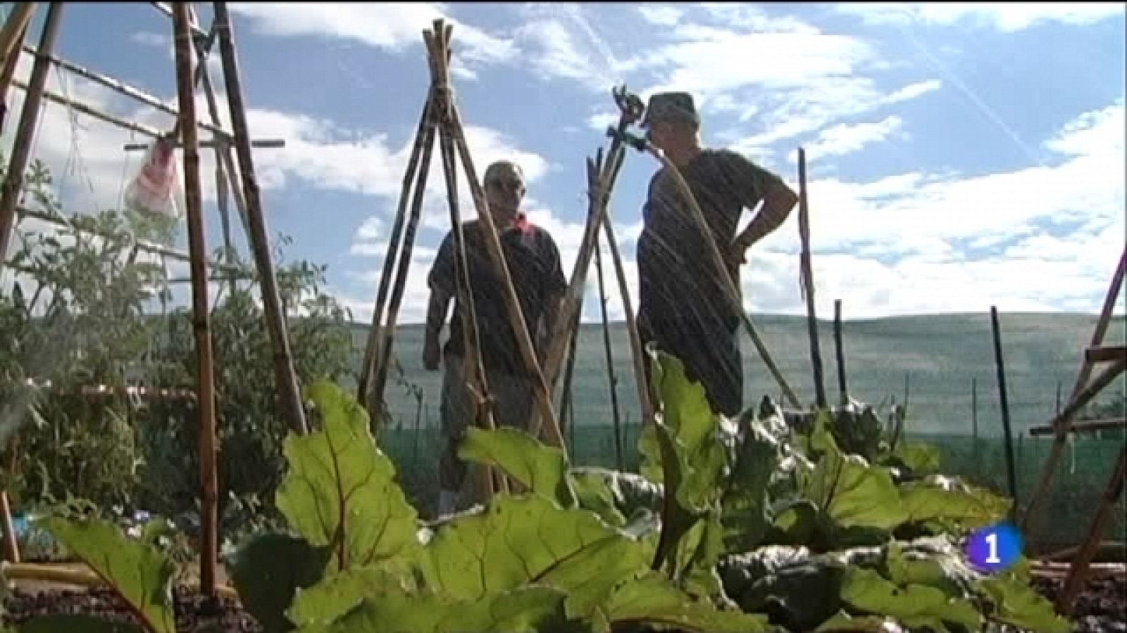 Repor - Alicante, la pequeña Europa - Ver ahora 