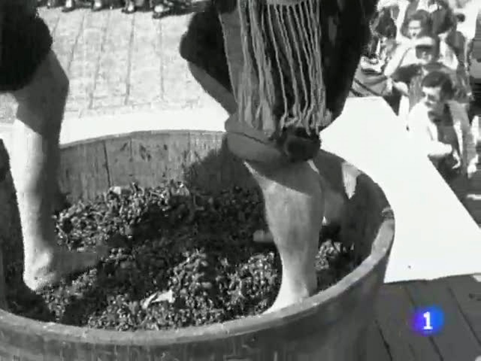 Informativo Telerioja: Pisado de la uva Rioja 2011 | RTVE Play