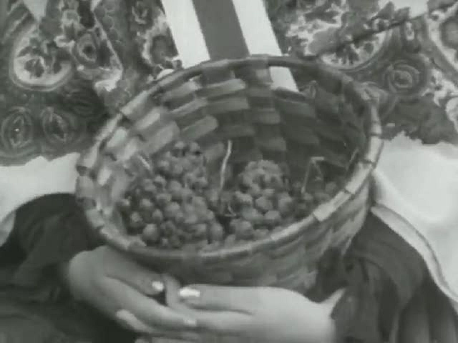 Informativo Telerioja - Pisado de la uva Rioja 2011 - Informativo Telerioja | Ver