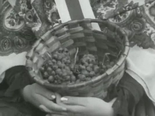 Informativo Telerioja - Pisado de la uva Rioja 2011