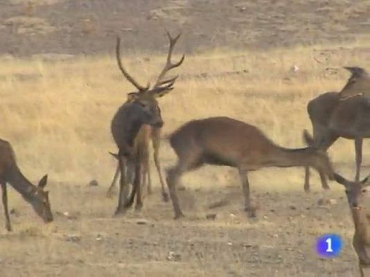 Extremadura en 2' - 23/09/11