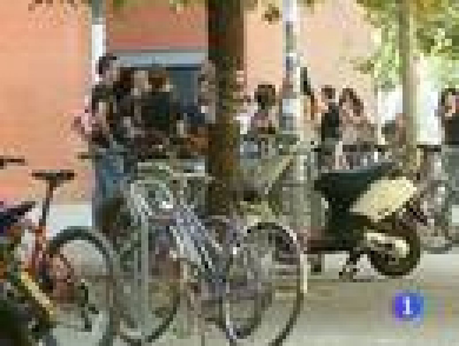 La Universidad española se diversifica