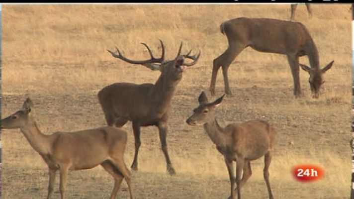 España en 24h - España en 24 horas - 23/09/11