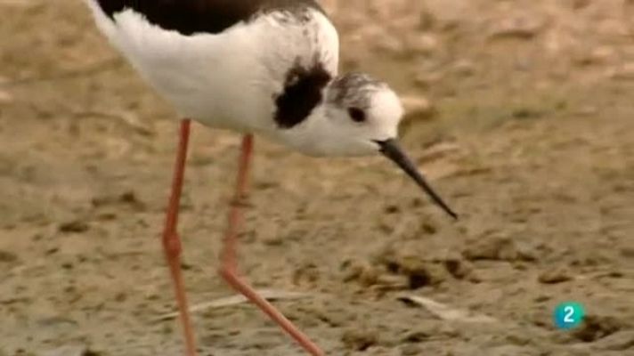 Biodiario - Biodiario - 23/09/11