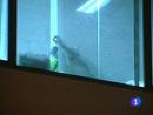 Telediario 1 - Operación contra fraude fiscal