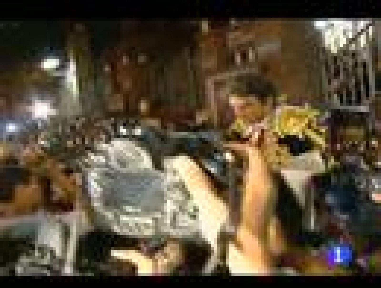 Telediario de fin de semana en cuatro minutos - 25/09/11 | Ver