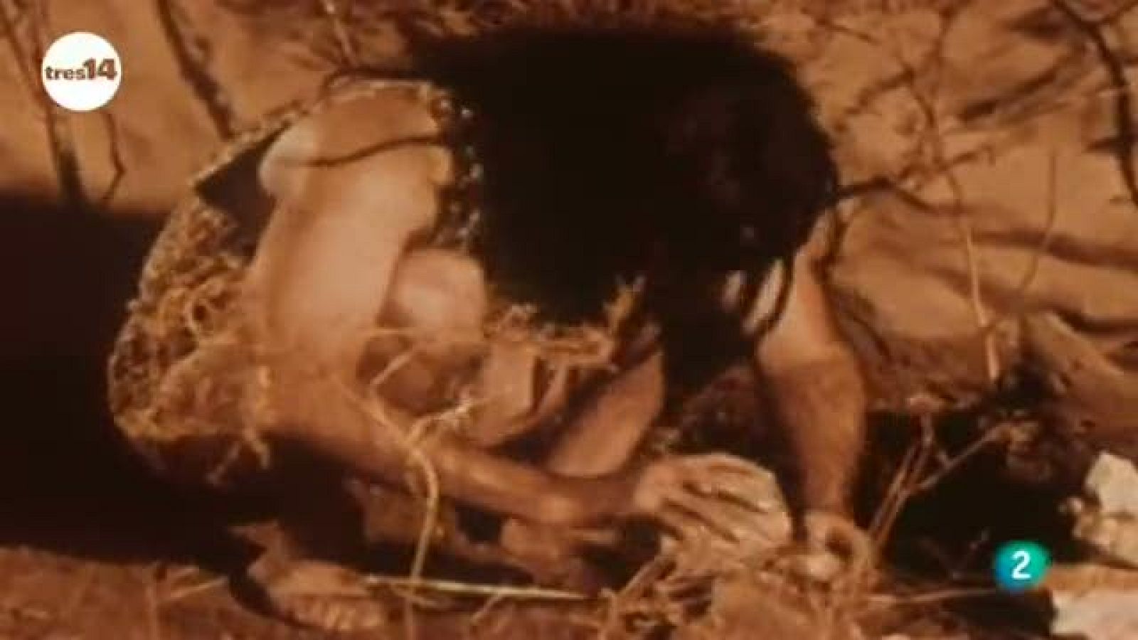 tres14 - curiosidades científicas - Hombre neandertal virtual